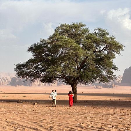 Sunset Dreams Camp Apartment Wadi Rum Exterior foto