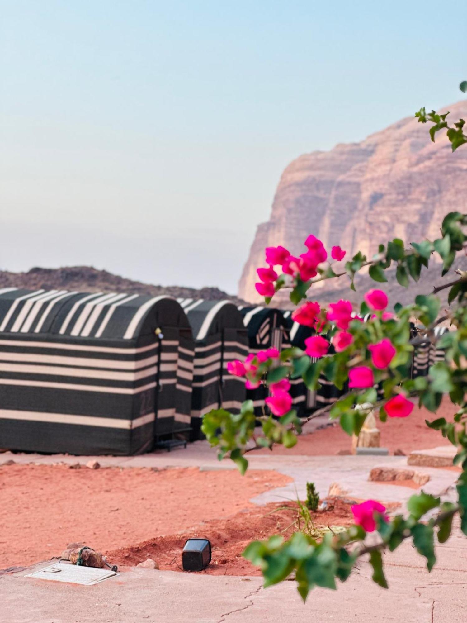 Sunset Dreams Camp Apartment Wadi Rum Exterior foto